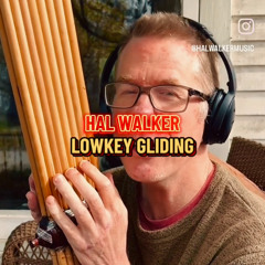 Hal Walker – Lowkey Gliding (Instagram Cover)