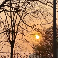 Nếu những Tiếc nuối / Vũ