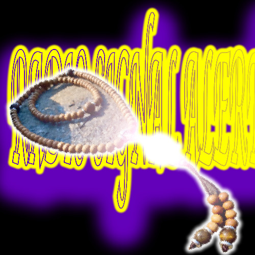 Radio Alerte Signal on Duty (Dub Mix)