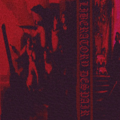 liberatory despair