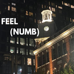 FEEL ( NUMB )