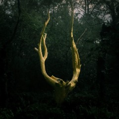 Mystic screams