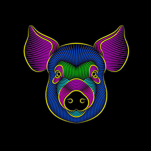 NCN - The Psychedelic PIGS Show