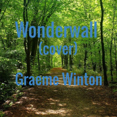 Wonderwall (cover)