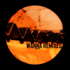 Mzperx - Wanna (Atze Ton Remix)