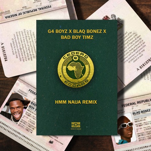Hmm Naija Remix (feat. Bad Boy Timz & BlaqBonez)