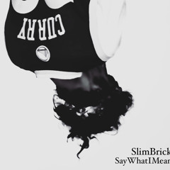 Say What I Mean (Freestyle)