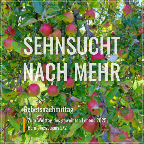Sehnsucht nach mehr