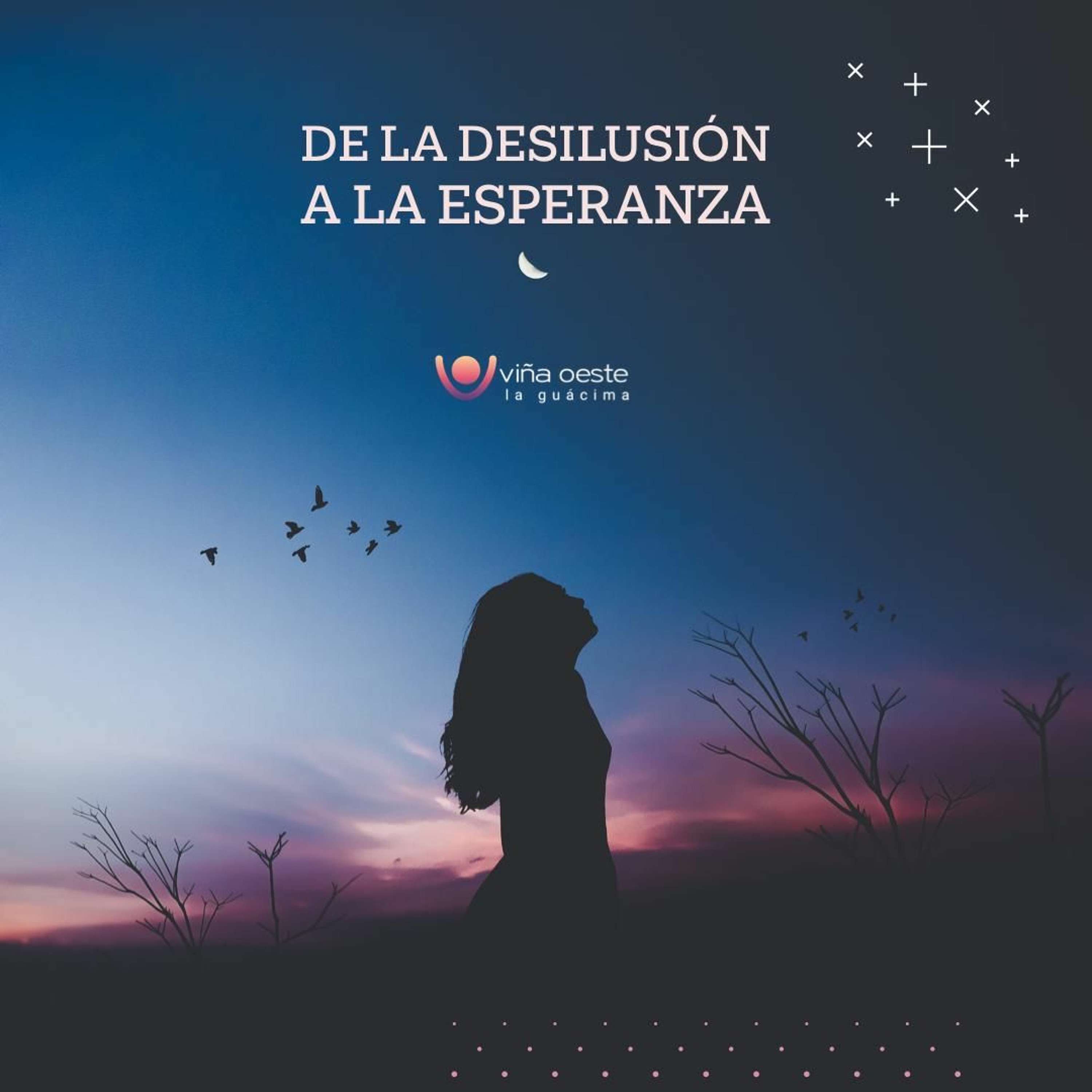 Viña Oeste La Guácima
