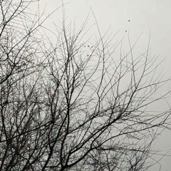 {[C]} 03-INVOLVED_153