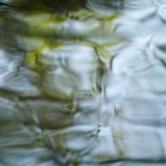 Water Flows - Will Parsons and Elsa Field