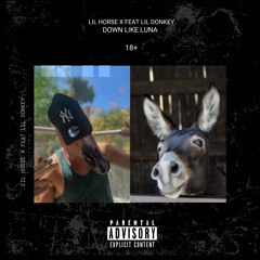 Down Like LUNA (Feat. Lil Donkey)