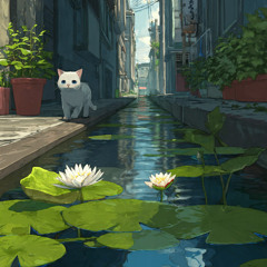 운하를 지나가는 고양이 여정