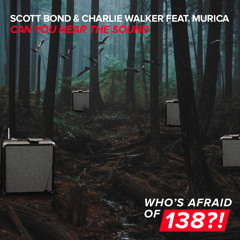 Can You Hear The Sound (feat. Murica)