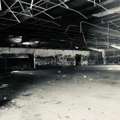 Austrotek: Vienna VIE via Shanghai PVG