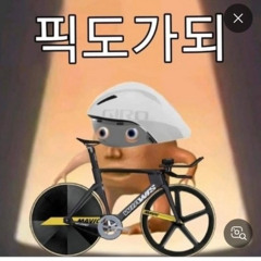 틱톡 중국 노래 딸배 픽도 (sped up)