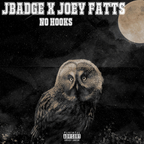 No Hooks (feat. Joey Fatts)