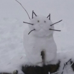 i'll be your family !