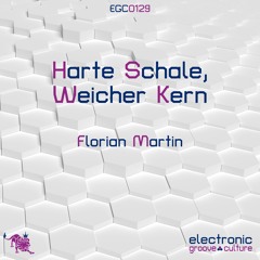 Florian Martin - Harte Schale