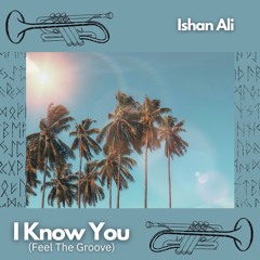 I Know You Can (Feel The Groove)