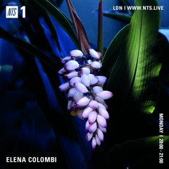 Elena Colombi 25/01/2021 - NTS Radio