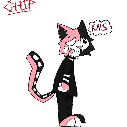 Chip uhhhh kms