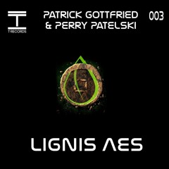 Patrick Gottfried & Perry Patelski - Lignis Aes