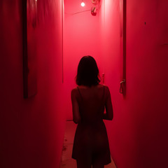 Toxic Woman (feat. gosha)