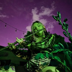 Of the Trees - Windhorse (SICKISH x Lindsey Spindrix Flip)