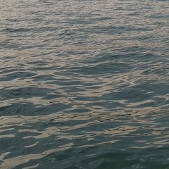 Médée dans la baignoire (2022)(extraits)