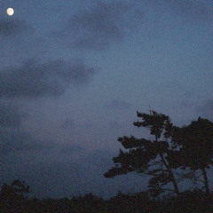 hinter dem Horizont
