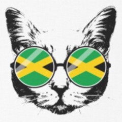 SODAPRESSED x ZJ DEL MAR - TellThaThis&That [POSI REMIX]