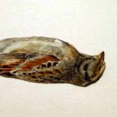 Hos mig - Kitchen session