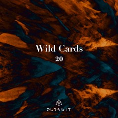 Wild Cards 20