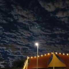 I Could've Done Without It