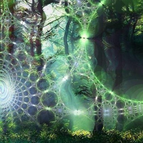 Unlocking The Reality