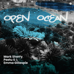 Open Ocean (Extended Mix)