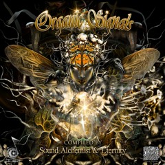Shamanic Theory - Fractal Note 150 ||Preview|| • On Psyunity Music •