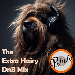 The Extra Hairy DnB Mix