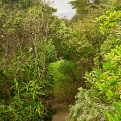 Sur le chemin de l'ouverture -Relaxation