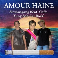 Amour Haine - Slethusgang