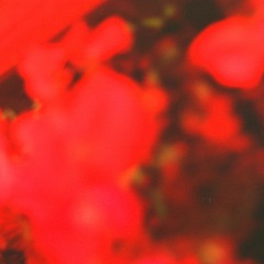 Ana Rs - Invisible Light