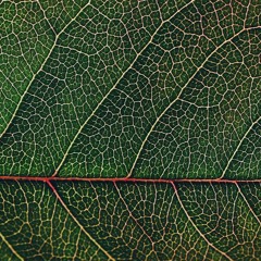 Interlude IV (Late Night)