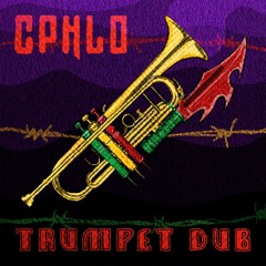 Cphlo - WDDFMFD001 - 02 - Trumpet Dub (VIP)
