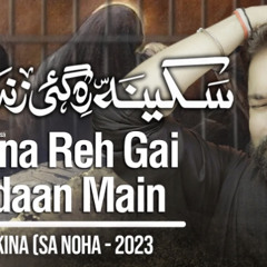 Nohay 2023 | Sakina Reh Gai Zindaan Main | Syed Raza Abbas Zaidi | Muharram 1445 |