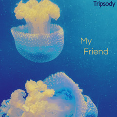My Friend