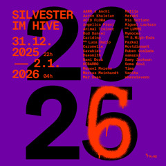 Bud Dancer — New Years Day Rave — Hive Club — 2026