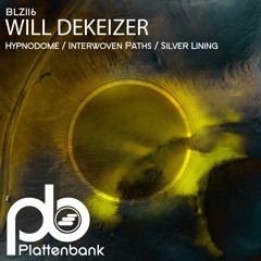 Premiere: Will DeKeizer - Interwoven Paths [Plattenbank]