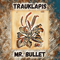 Trauklapis