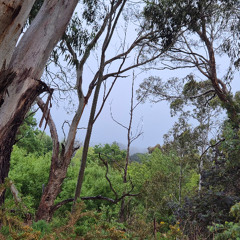 songs about a broken sustain pedal - Part V
